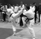 Shihan 1984